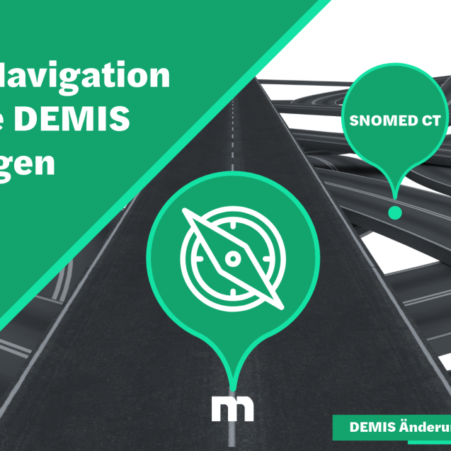 DEMIS Banner